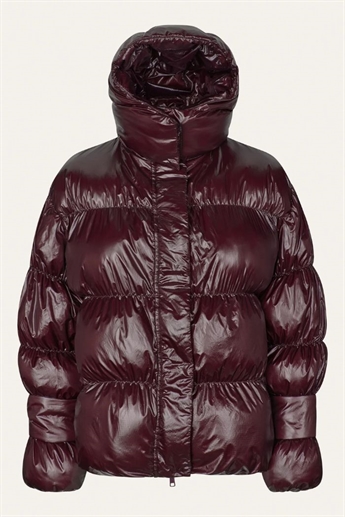 Oval Sqaure - Active Hood Jacket, Dark Burgundy